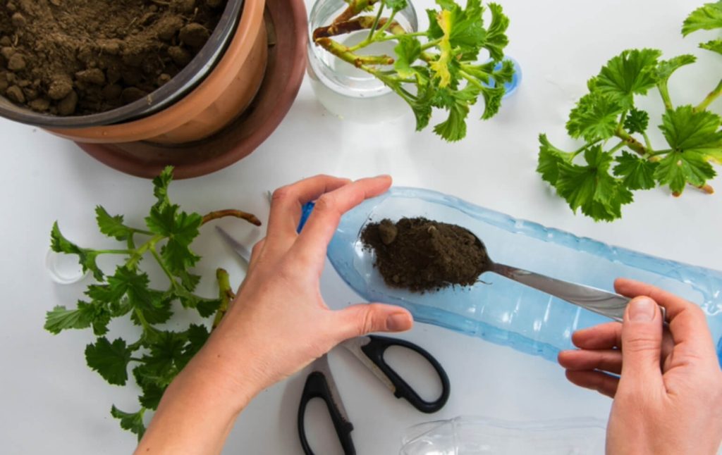 Balkonunuzu Renklendirin: Atık Kaplardan Saksı Yapma Fikirleri atik-kaplardan-saksi-yapma-fikirleri