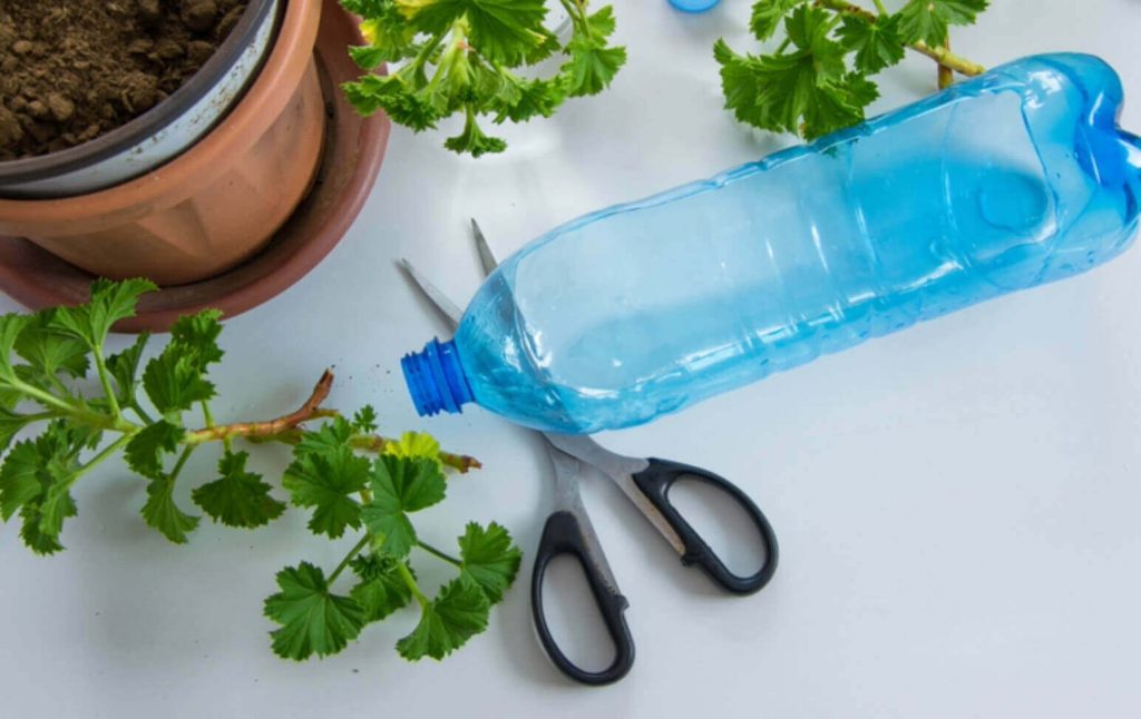 evde-self-watering-yapma-fikirleri